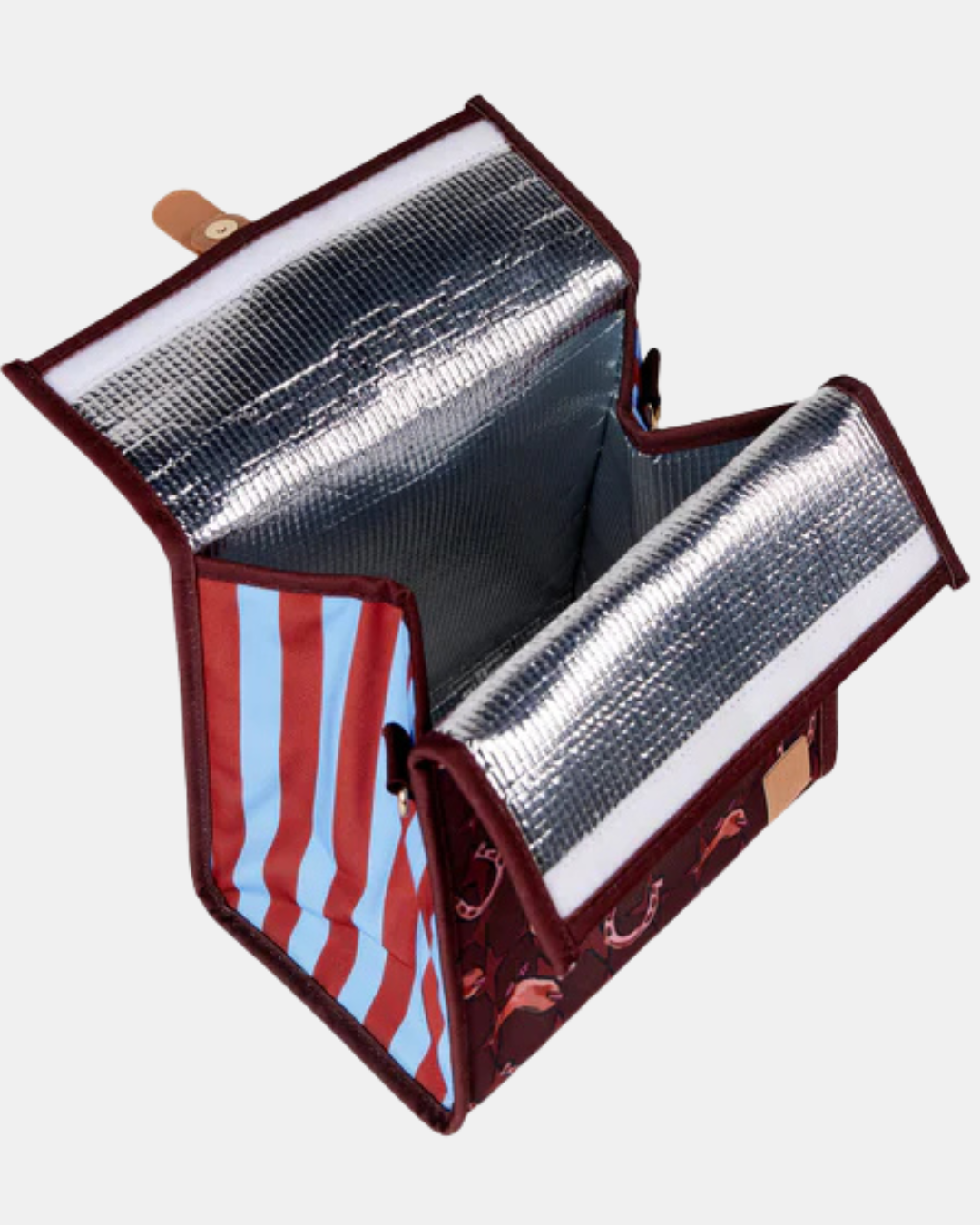 Lunch Satchel