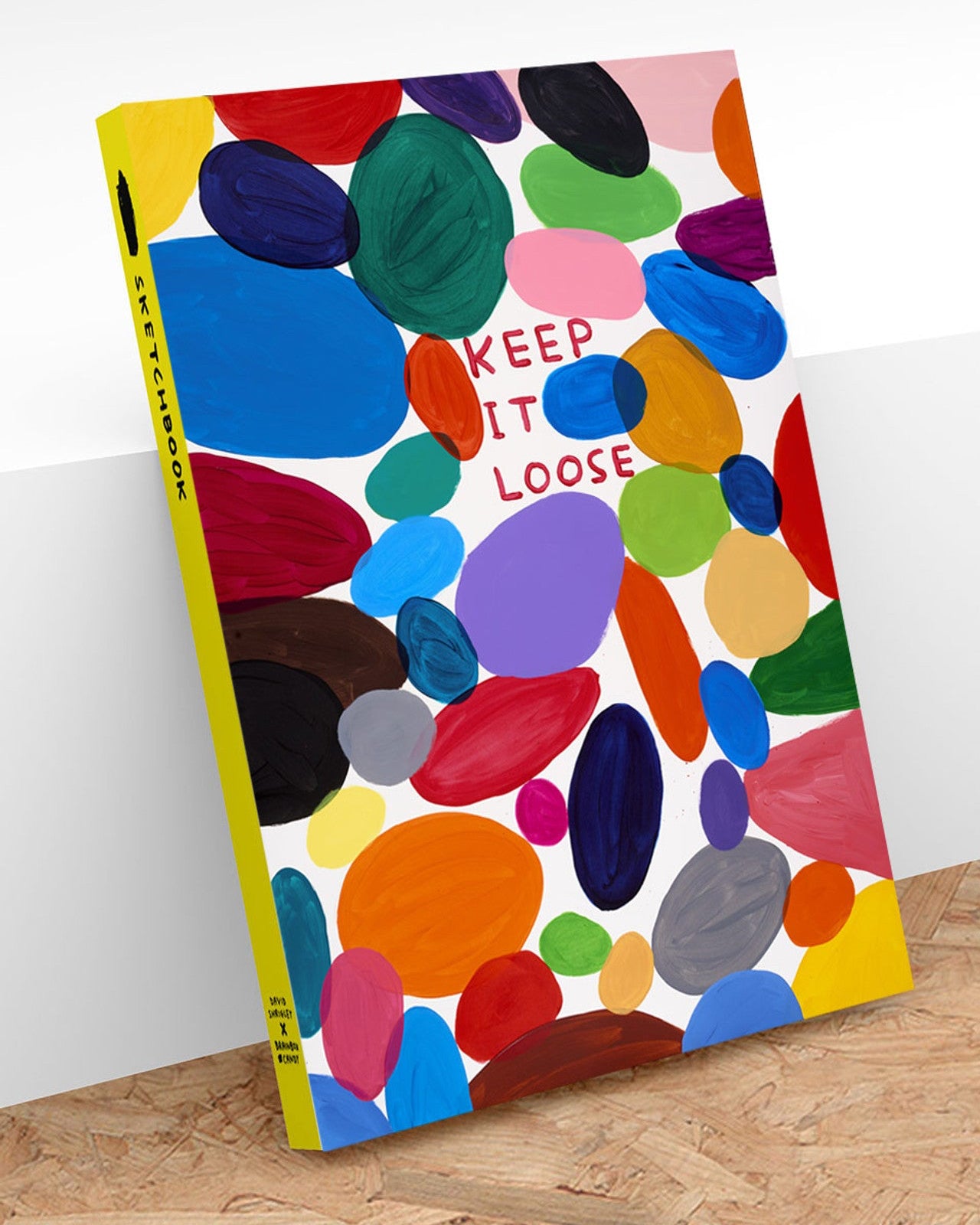 David Shrigley Art Sketchbook