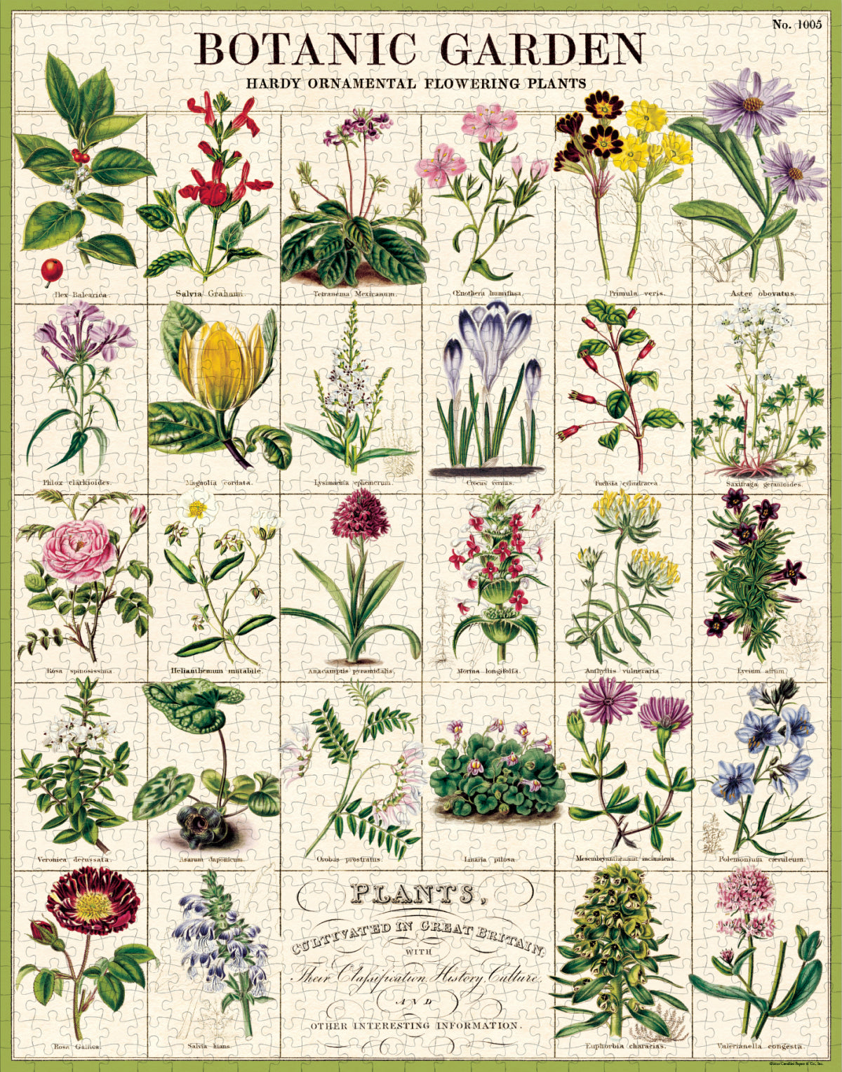 Vintage Puzzle / 1000 Piece