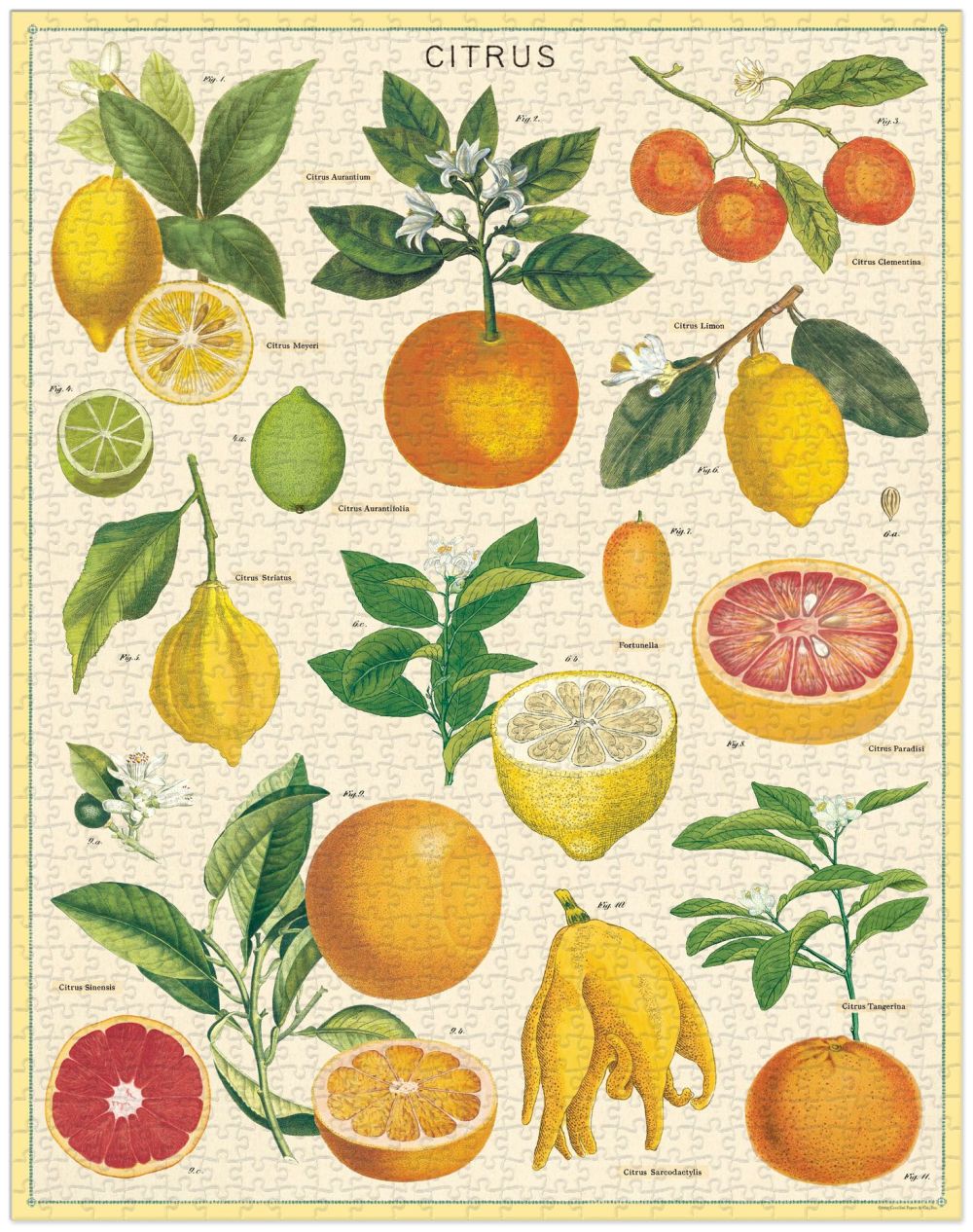 Vintage Puzzle / 1000 Piece