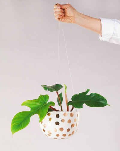 Angus & Celeste Decorative Hanging Planter