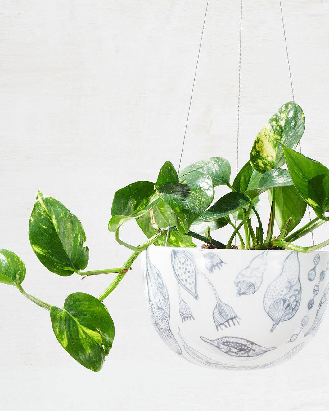 Angus & Celeste Decorative Hanging Planter