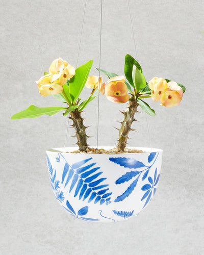 Angus & Celeste Decorative Hanging Planter