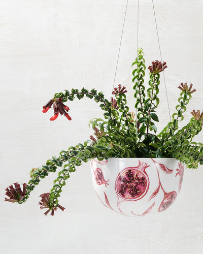 Angus & Celeste Decorative Hanging Planter