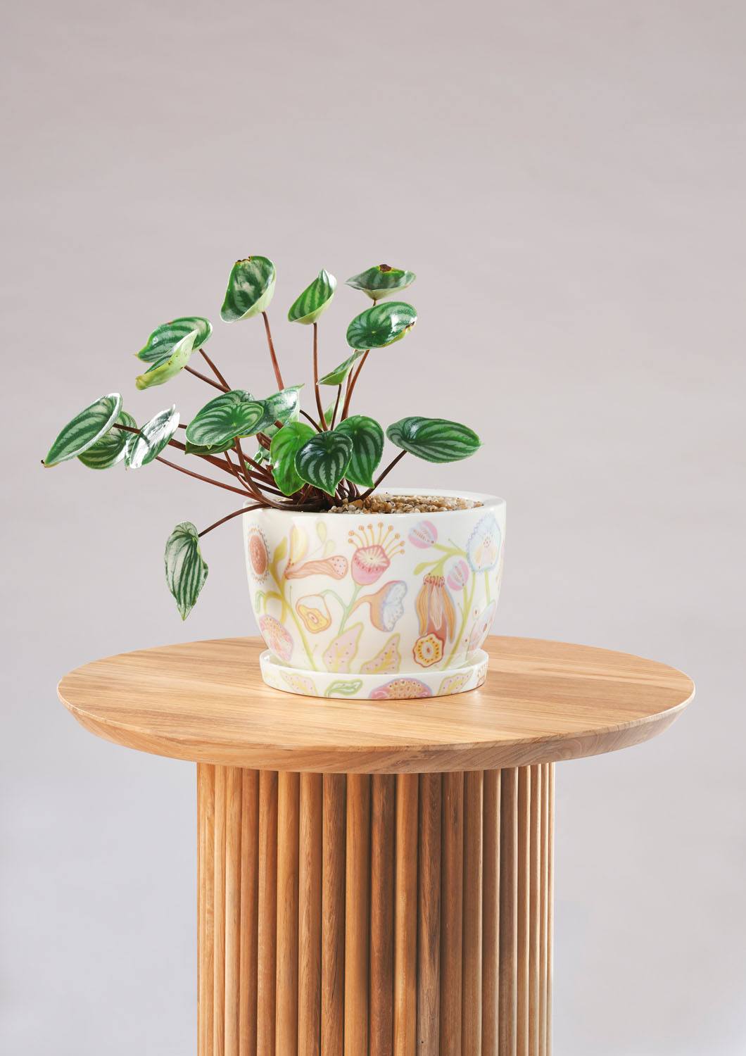 Angus & Celeste Decorative Plant Pot