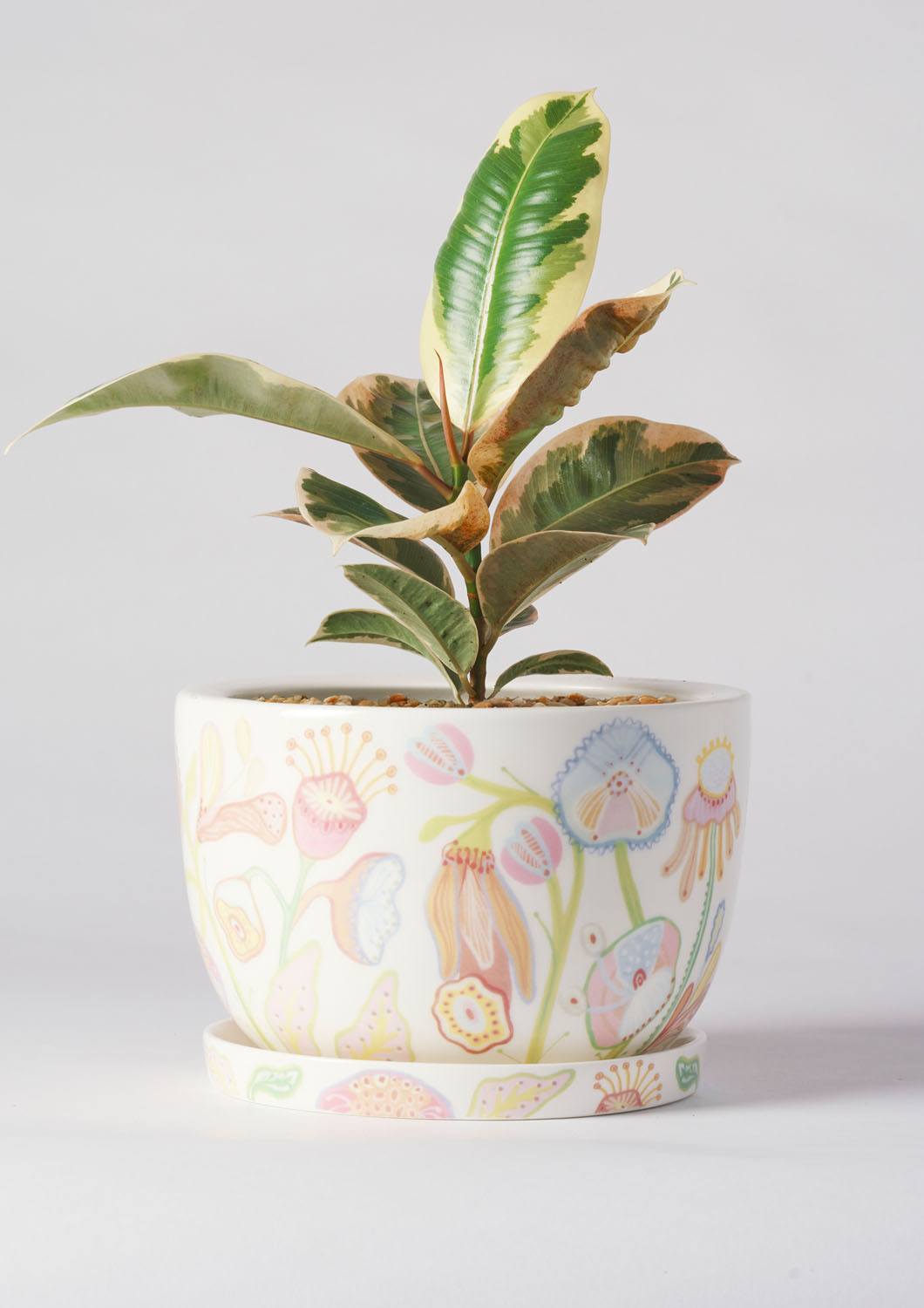 Angus & Celeste Decorative Plant Pot