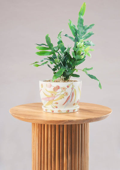 Angus & Celeste Decorative Plant Pot