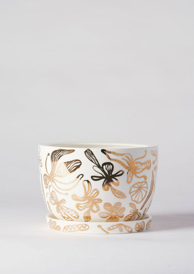 Angus & Celeste Decorative Plant Pot
