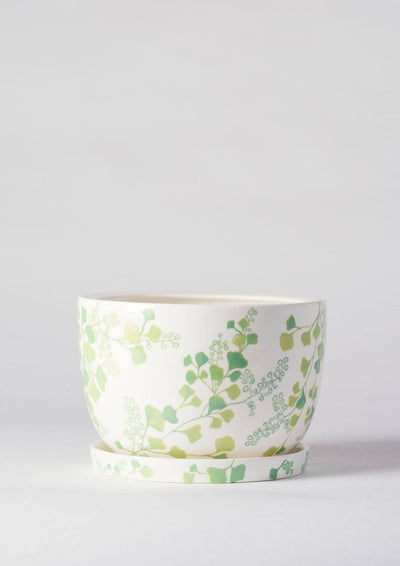 Angus & Celeste Decorative Plant Pot