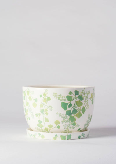 Angus & Celeste Decorative Plant Pot