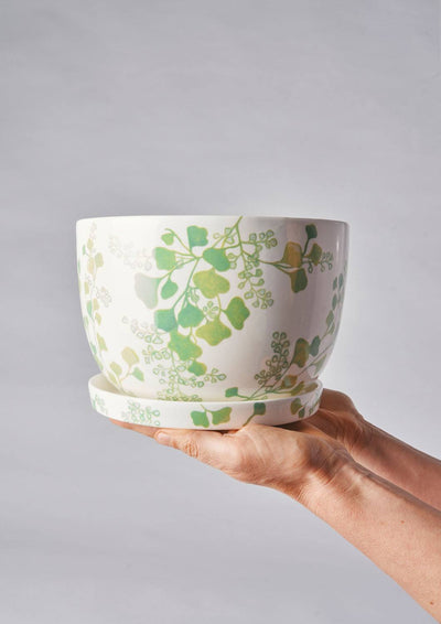 Angus & Celeste Decorative Plant Pot