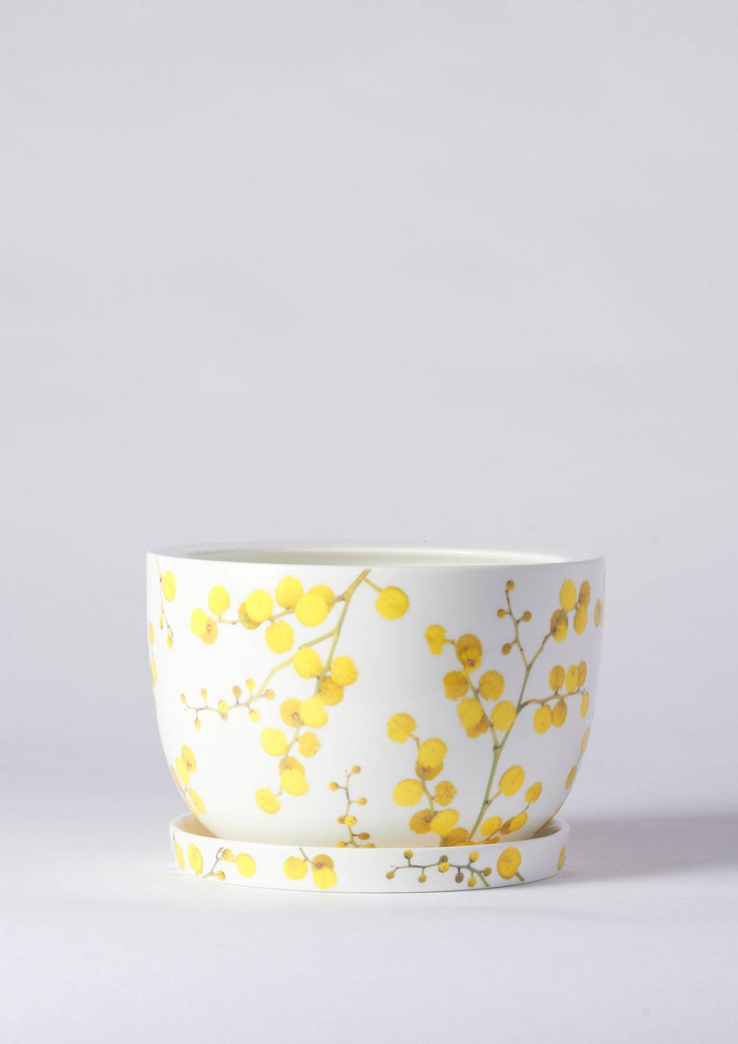 Angus & Celeste Decorative Plant Pot