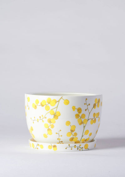Angus & Celeste Decorative Plant Pot