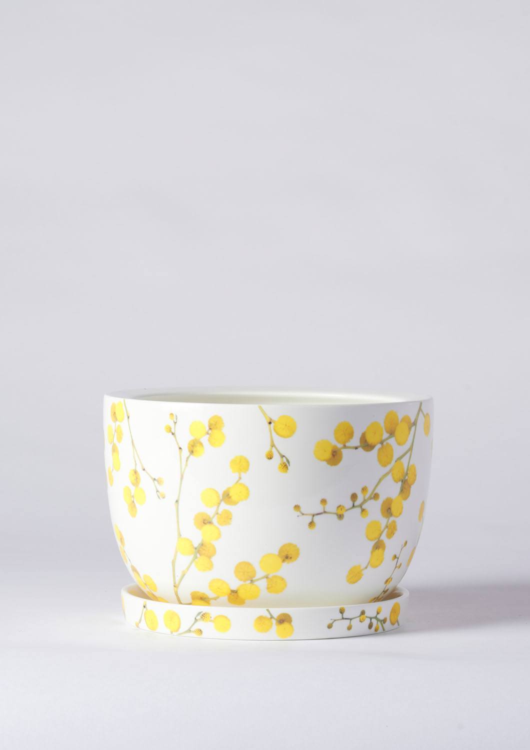 Angus & Celeste Decorative Plant Pot