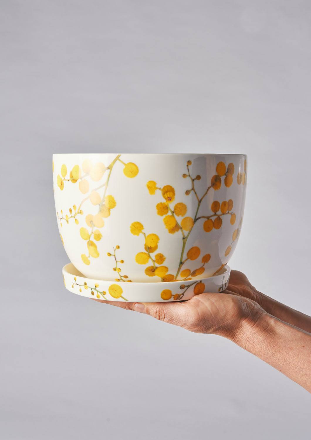 Angus & Celeste Decorative Plant Pot