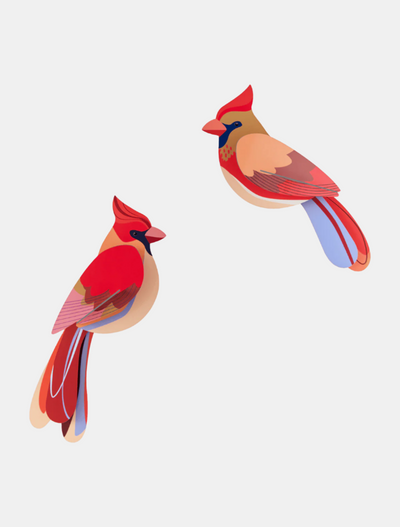 Studio Roof Wall Art  / Garden Birds / Set Of 2