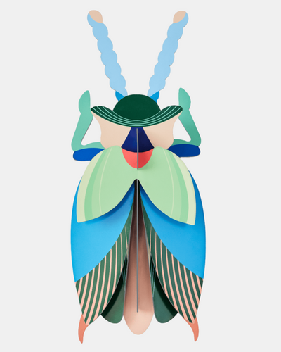 Studio Roof Wall Art A4 / Beetles