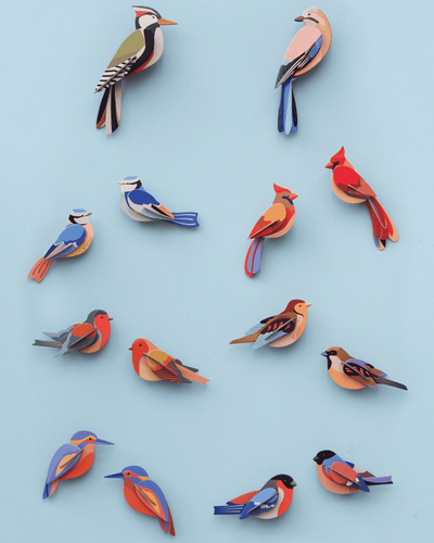 Studio Roof Wall Art  / Garden Birds / Set Of 2