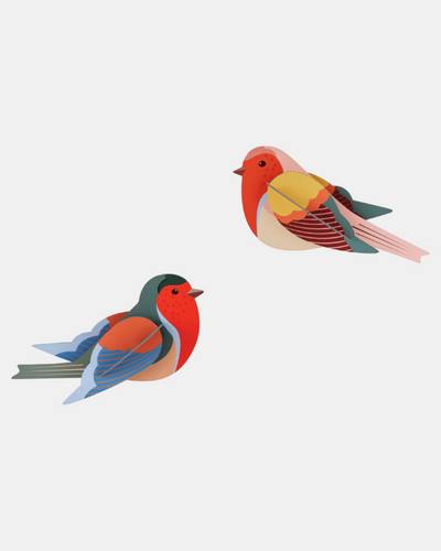 Studio Roof Wall Art  / Garden Birds / Set Of 2