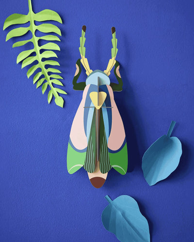 Studio Roof Wall Art A4 / Beetles