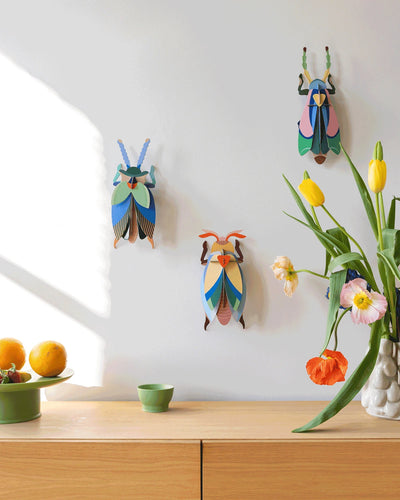 Studio Roof Wall Art A4 / Beetles