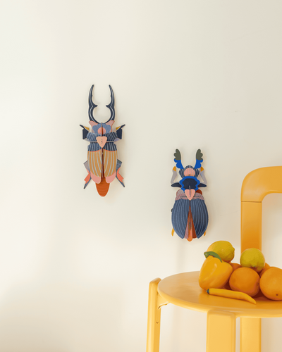 Studio Roof Wall Art A4 / Beetles